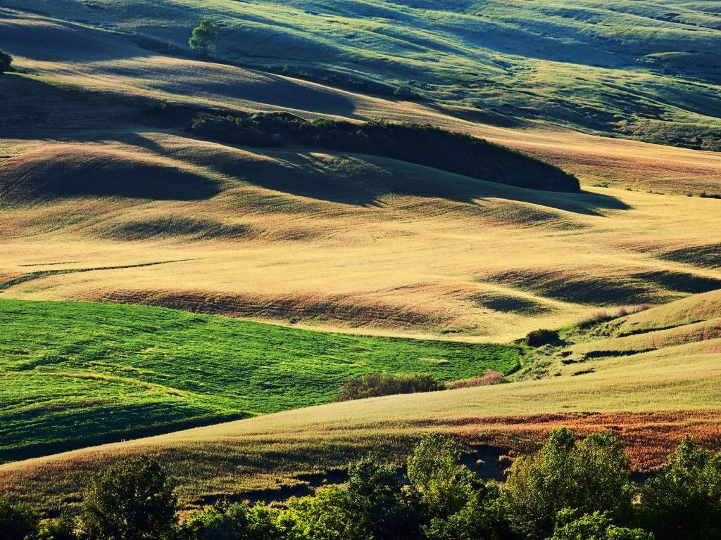 Agriturismo La Buca Di Bellugi San Quirico dʼOrcia Extérieur photo